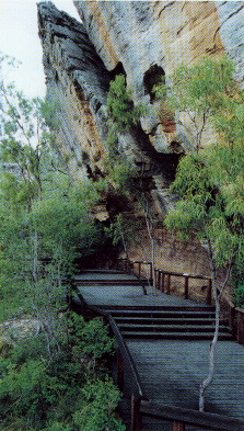 image of boardwalk near a site - Jump to image if you click